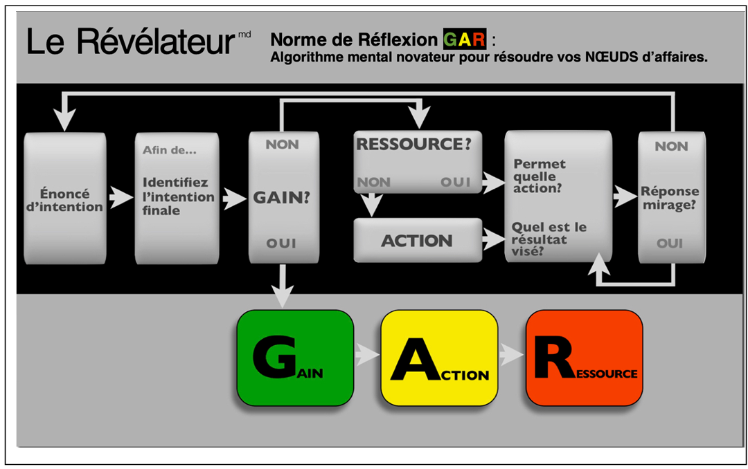 Schéma du Révélateur G.A.R.